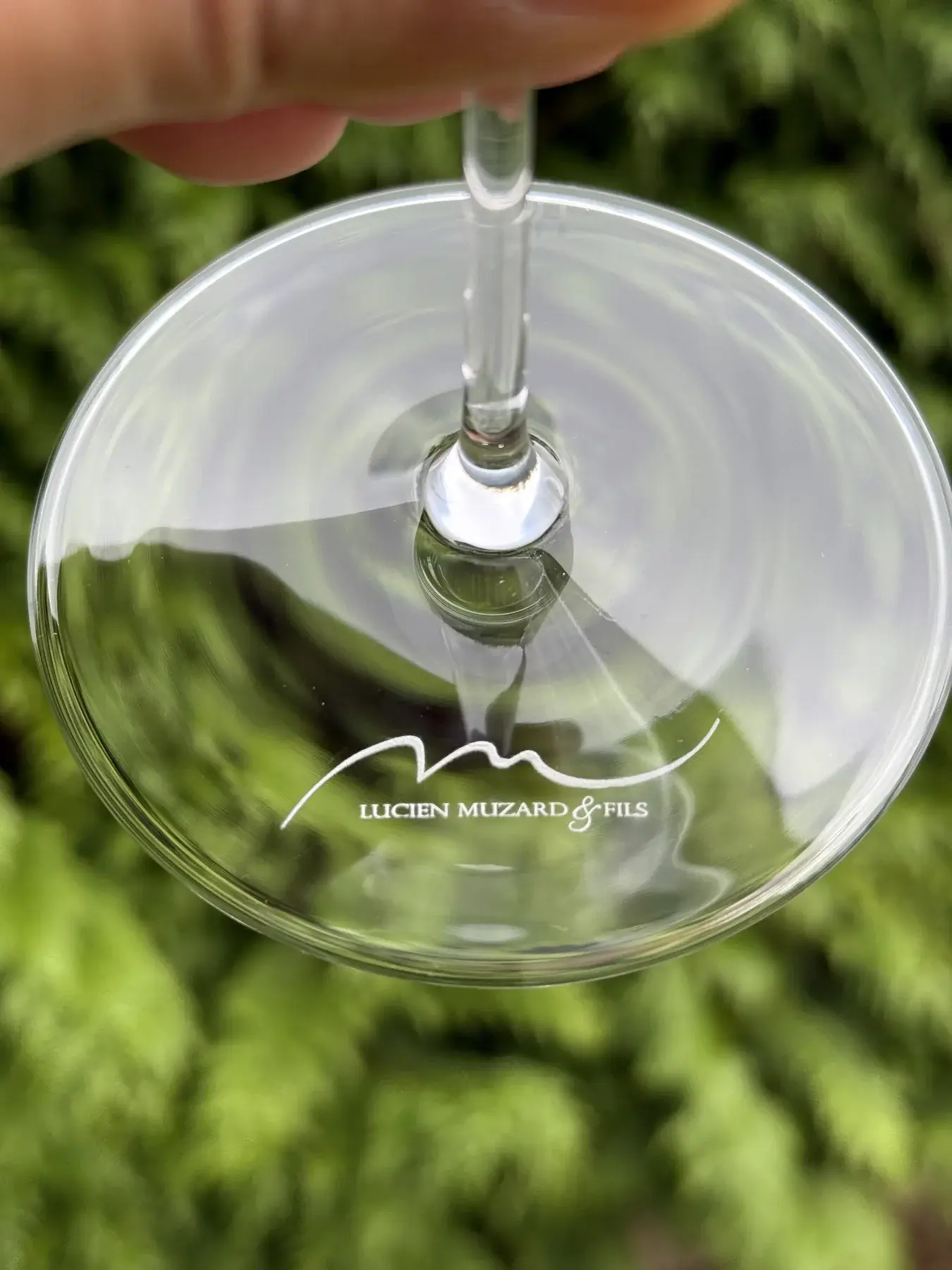 Pied de verre à vin gravé avec le logo manuscrit d’un domaine viticole de Bourgogne